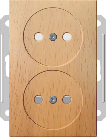 Schneider Electric RS16-254-8-86