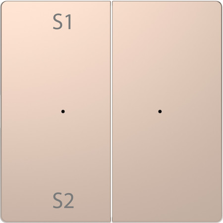 Schneider Electric MTN5226-6051 MERTEN D-Life PlusLink КЛАВИША 2-ная с S1/S2, пусто, ШАМПАНЬ, SD