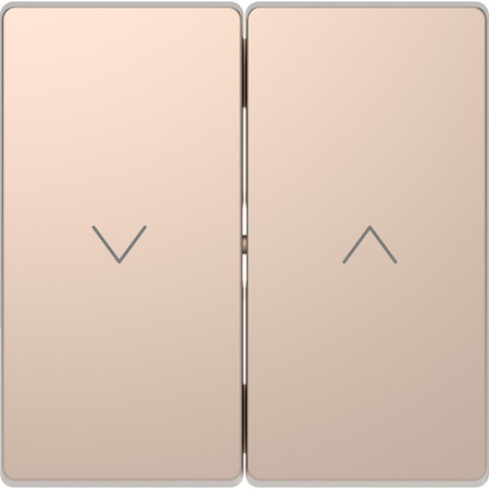 Schneider Electric MTN3855-6051 MERTEN D-Life КЛАВИША-КНОПКА для жалюзи, ШАМПАНЬ