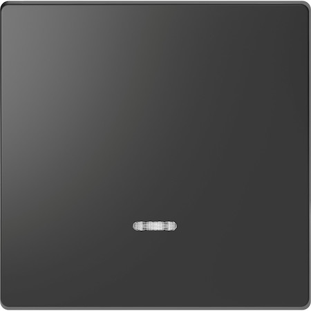 Schneider Electric MTN3320-6034 MERTEN D-Life КЛАВИША 1-ная с линзой для LED модуля, АНТРАЦИТ