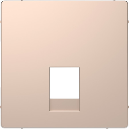 Schneider Electric MTN4215-6051 MERTEN D-Life ЦЕНТРАЛЬНАЯ НАКЛАДКА для розетки 2-ной RJ11/RJ12, ШАМПАНЬ