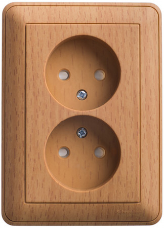 Schneider Electric RS16-254-88 РОЗЕТКА В59 СУ 2 Я БУК