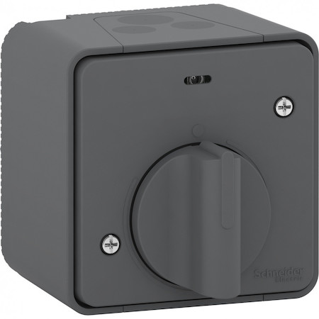 Schneider Electric MUR35067 MUREVA S ВЫКЛЮЧАТЕЛЬ с таймером В СБОРЕ О/У, АНТРАЦИТ, IP55