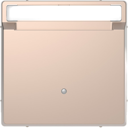 Schneider Electric MTN3854-6051 MERTEN D-Life ВЫКЛЮЧАТЕЛЬ с ключом-картой д/гостиниц, ШАМПАНЬ