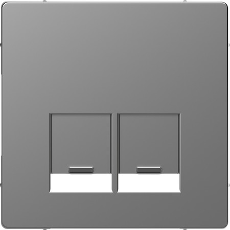 Schneider Electric MTN4572-6036 MERTEN D-Life ЦЕНТРАЛЬНАЯНАКЛАДКА для 2-х модульных разъемов, НЕРЖ.СТАЛЬ