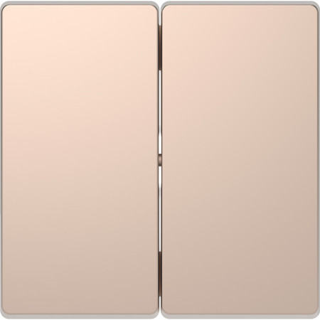 Schneider Electric MTN3400-6051 MERTEN D-Life КЛАВИША 2-ная, ШАМПАНЬ