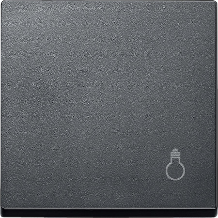 Schneider Electric MTN439914 MERTEN КЛАВИША с пиктограммой "свет", АНТРАЦИТ, SM