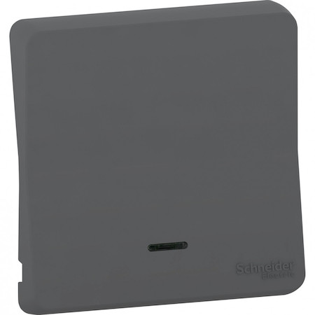 Schneider Electric MUR34204 MUREVA S КЛАВИША с линзой подсветки, АНТРАЦИТ, IP55