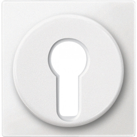 Schneider Electric MTN318119 ЦЕНТР. ПЛАТА ПЕРЕКЛ. ПОВОРОТНОГО С ЗАМКО