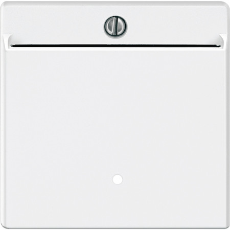 Schneider Electric MTN315419 ЦЕНТР. ПЛАТА ВЫКЛ. С КАРТОЧКОЙ, SYSTEM M, ЦВЕТ ПОЛЯРНО-БЕЛЫЙ