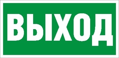 Фото Световые технологии 2502000270 ПЭУ 010 " Выход" 130х260