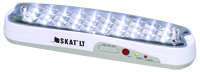 Светильник аварийный SKAT LT-2330 LED Бастион 2450