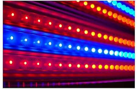 Светильник УСС-60 Био Д LED 57Вт IP67 потолочное крепление спец. свет ФОКУС USS06-060D0CN30АF06000