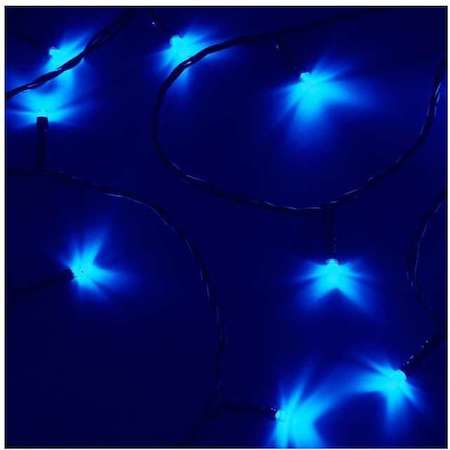 Neon-Night Гирлянда "ТВИНКЛ ЛАЙТ LED" (с контроллером 8 режимов) 10м 80LED 7Вт 220В IP20 син. провод темн.-зел. ПВХ NEON-NIGHT 303-043