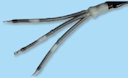 92-EB CS-0.5 ХУ конц.муфта, 16-35мм2