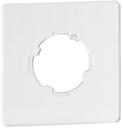 Front plate. Blanco without engraving