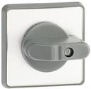 Handle. With blanco front plate without engraving