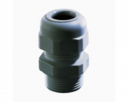 PLASTIC GLAND