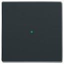 SR-1-81 Клавиша одинарная free@home, future, антрацит