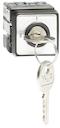 Cam switch. ON-OFF switches. Miniature, door mounted