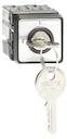 Cam switch. ON-OFF switches. Miniature, door mounted