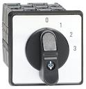Cam switch, multistep
