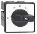 Cam switch, multistep