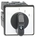 Cam switch. Multistep switches . Normal, door mounted