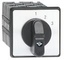 Cam switch, multistep