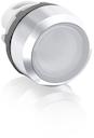 Clear Modular Pushbutton