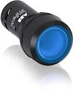 Blue Compact Pushbutton