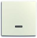 ABB 2CKA006599A2995