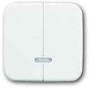 ABB 2CKA006599A2889