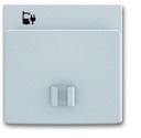 Центр. плата USB/Джек (Jack) с/у пластик нержавеющая сталь IP20 ABB BJE