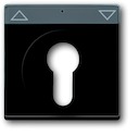 Накладка для механизма 2712/2713 USL, 2722/2723 USL, 2733 USL, поле для надписи, Future/Axcent/Carat/Династия, черный бархат