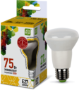 Лампа светодиодная LED-R63-standard 8Вт 230В Е27 3000К 720Лм ASD