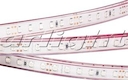 Лента RTW 2-5000PGS 24V Red 2x (3528, 600 LED)