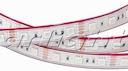 Лента RTW 2-5000P 12V RGB 2X (5060, 300 LED, LUX)