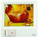 Camelion XYD-403 - р006 (ночник с картинкой, с выключателем, 220V, 1W)