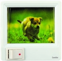 Camelion XYD-403 - р007 (ночник с картинкой, с выключателем, 220V, 1W)