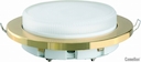 Camelion FP1-GX53-G (пластиковый встраиваемый светильник, золото)