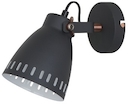 Camelion WML-428-1  С02  чёрный (Светильник настенный New York,1х E27, 40Вт, 230В, металл)