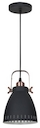 Camelion PL-428S-1  С62  черный + медь (Светильник подвесной New York,  1х E27, 40Вт, 230В, металл)