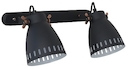 Camelion WML-428-2  С02  чёрный (Светильник настенный New York,2х E27, 40Вт, 230В, металл)