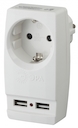 SP-1e-USB-I (LM)  ЭРА Адаптер "Polynom" 1гн 220V + 2xUSB 2100mA, c заземл, (сл.кость) (10/60/1440)