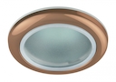 WR1 SC Светильник ЭРА влагозащищенный MR16,12V/220V, 50W медь