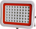 PFL-SA-100w 6500K IP65