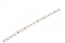 Лента  PRO-3528/60-IP20-12V-  W  -50m (белый свет)   Jazzway