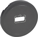 CLN2 Накл. розетки USB Графит