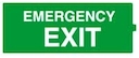 Наклейка "Emergency Exit"